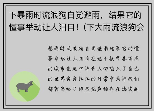 下暴雨时流浪狗自觉避雨，结果它的懂事举动让人泪目！(下大雨流浪狗会在哪躲雨)
