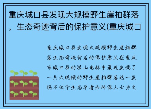 重庆城口县发现大规模野生崖柏群落，生态奇迹背后的保护意义(重庆城口崖柏介绍)