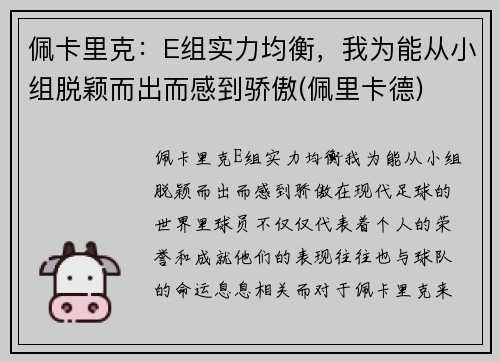 佩卡里克：E组实力均衡，我为能从小组脱颖而出而感到骄傲(佩里卡德)
